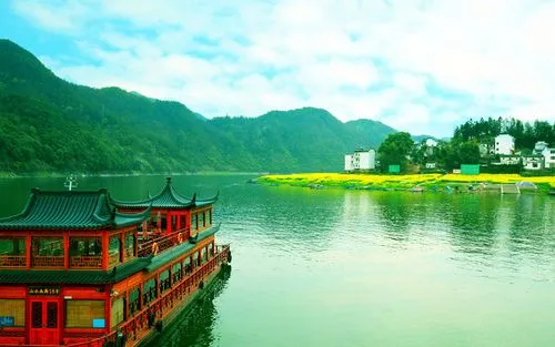 全自动电子高端